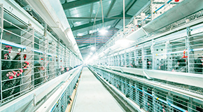 �ϻ�֮���Ɂ�